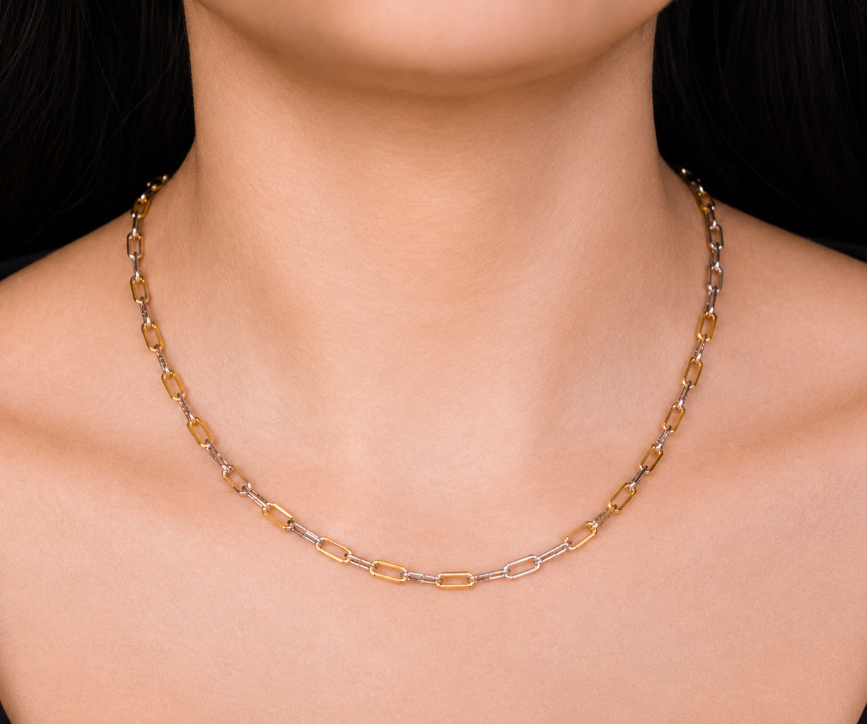 Two-Toned Paperclip Necklace