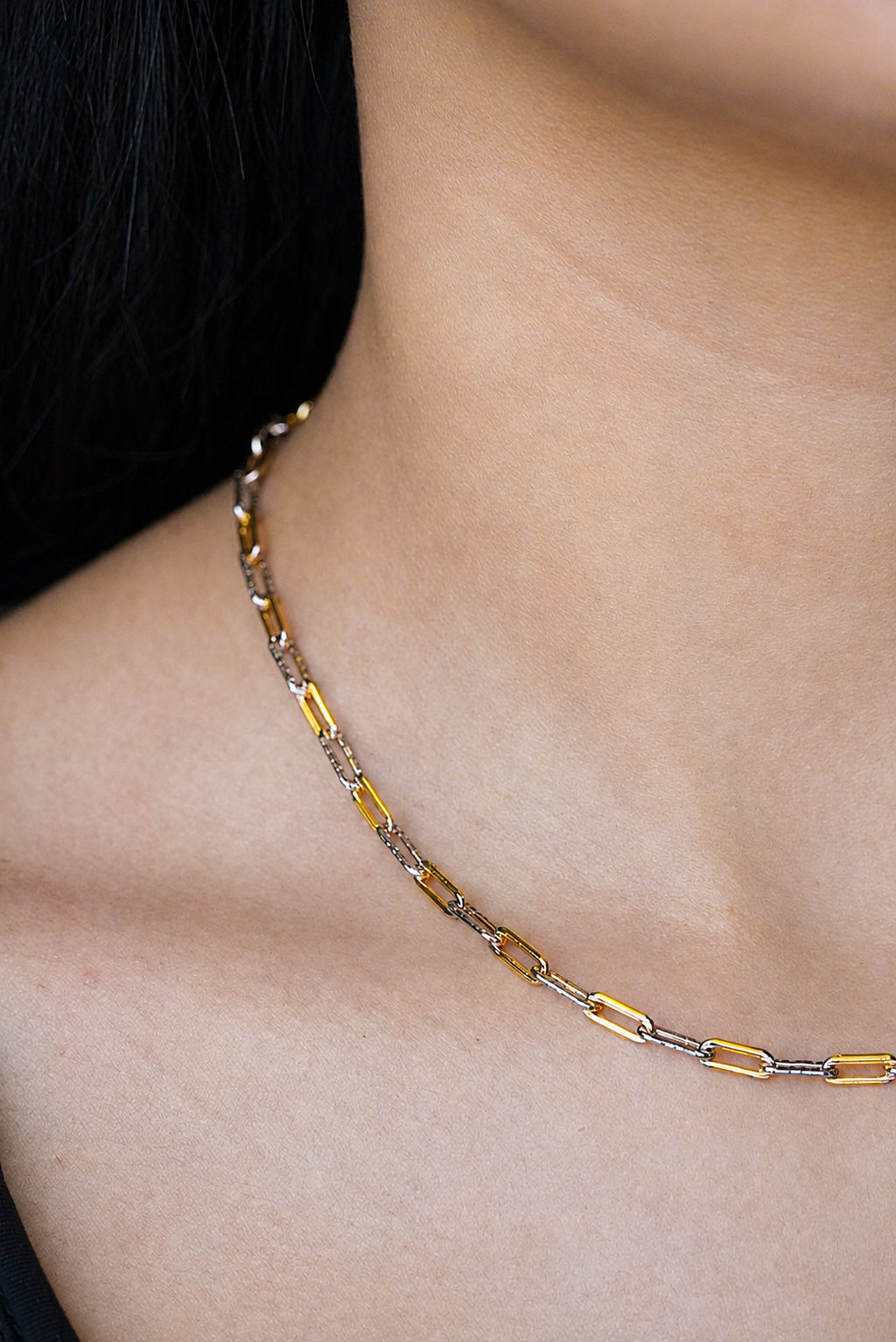 Two-Toned Paperclip Necklace