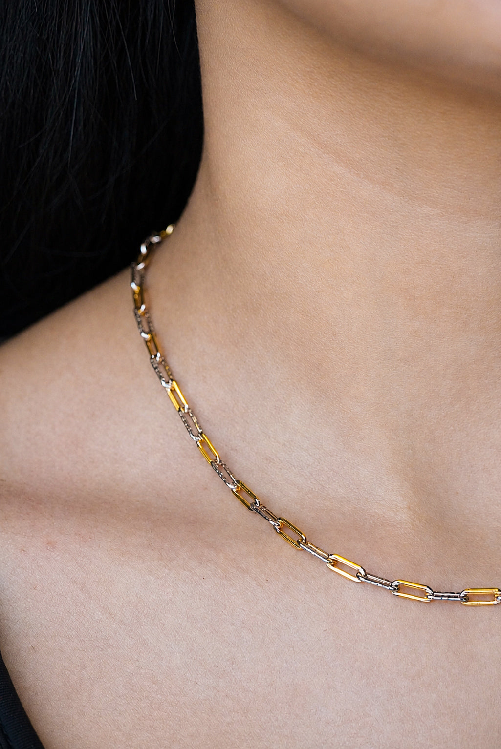 Two-Toned Paperclip Necklace