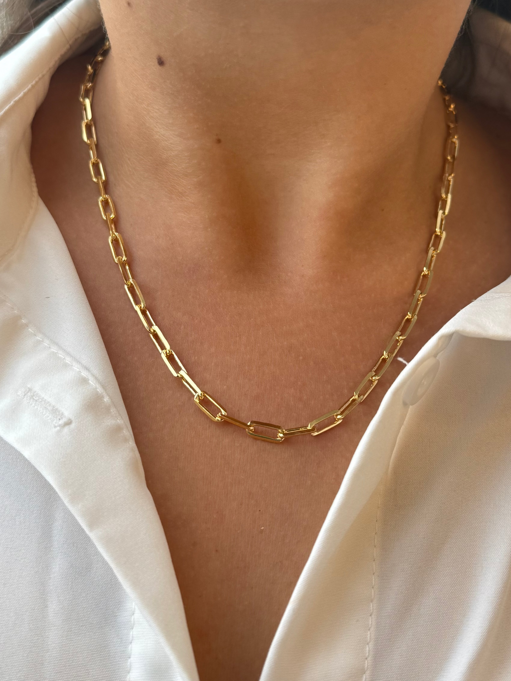 Classic Paperclip Necklace